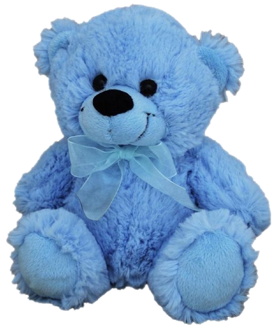 Blue Plush Bear (18cm)