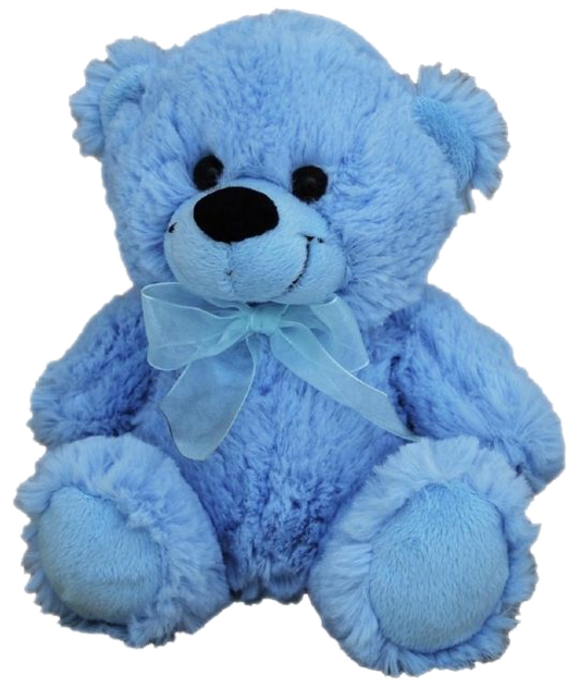 Blue Plush Bear (18cm)