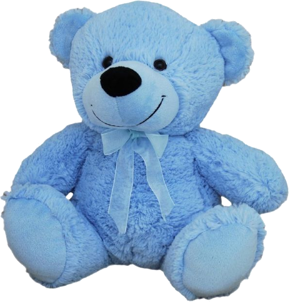 Blue Plush Bear (30cm)