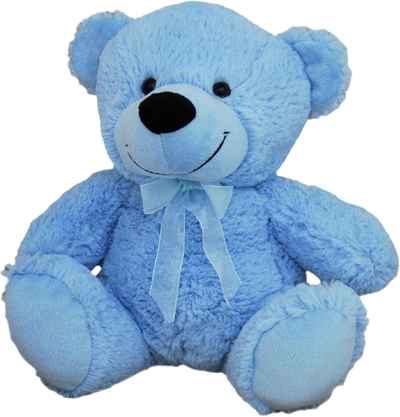 Blue Plush Bear (30cm)