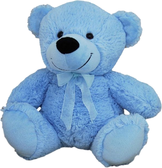 Blue Plush Bear (30cm)