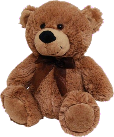 Brown Plush Bear (30cm)