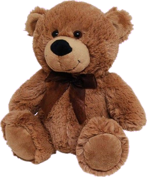Brown Plush Bear (30cm)