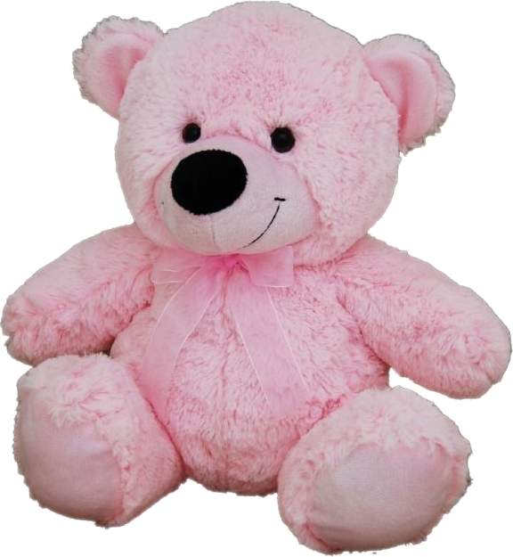 Pink Plush Bear (30cm)