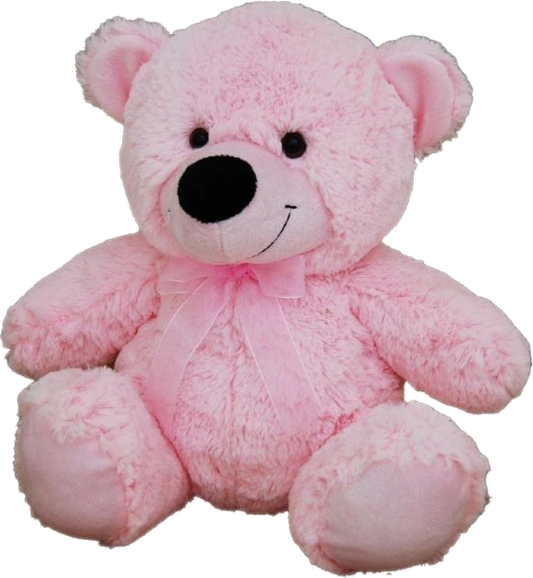 Pink Plush Bear (30cm)